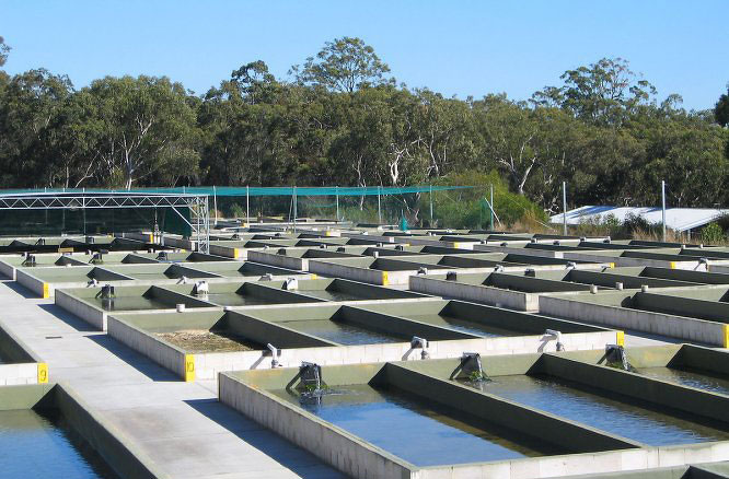 �B(y��ng)ֳ����ؿ՚��ܟ�ˮ���̽�Q����