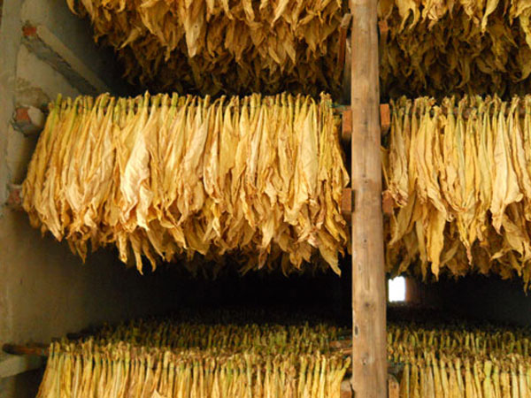 ���ݟ�ú�ɽ�Q����