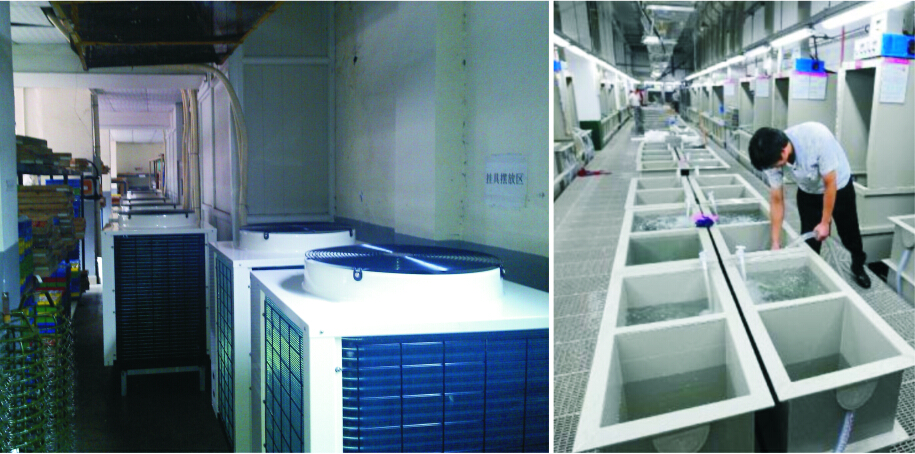 ���S�՚��ܟ�ˮ���̽�Q����