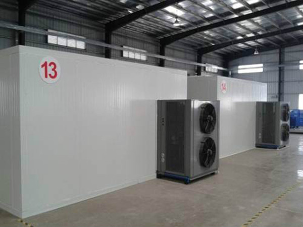 �t���ɟ�ú�ɹ���