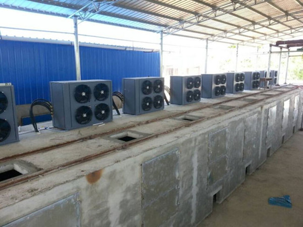 ���Ƹߜ�?z��)�ú�ɹ��? />
                                <span id=